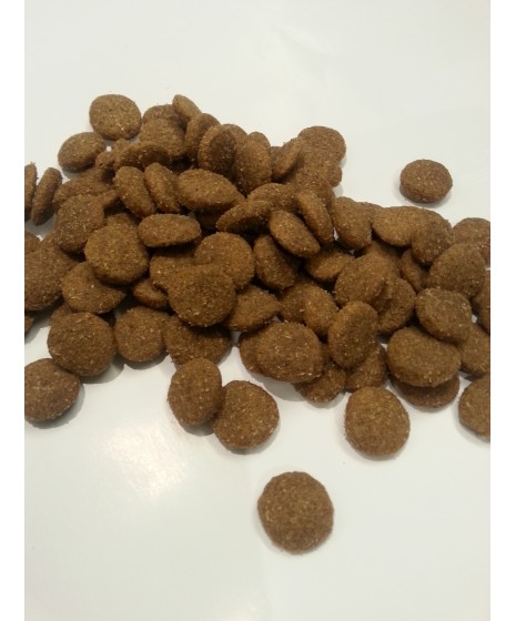 Disugual - karma z JAGNIĘCINĄ  dla dorosłych psów średnich ras. Monobiałkowa. Bardzo zdrowa. Chętnie jedzona przez pieski.