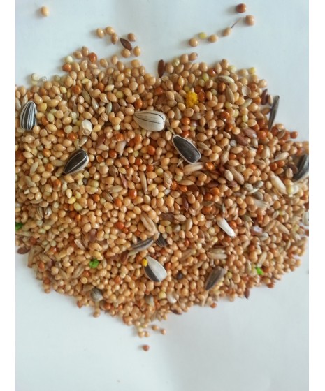 Pokarm dla papugi falistej.