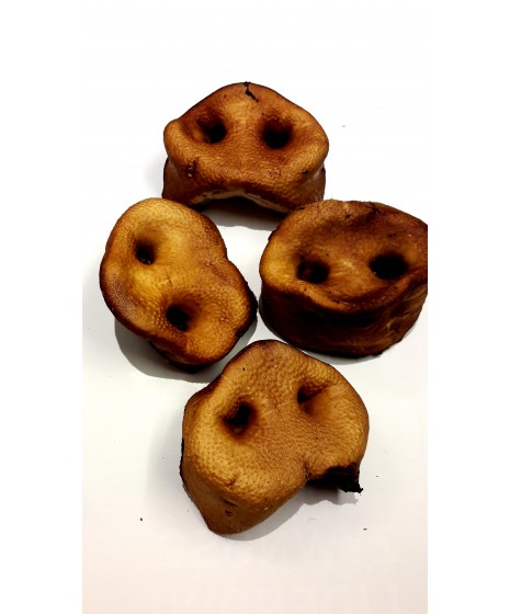 Ryjek wędzony wieprzowy. Przysmak naturalny dla pieska. Produkt POLSKI.