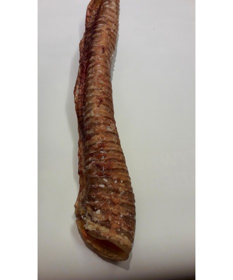 Tchawica wołowa wędzona. Naturalna przekąska dla pieska. Produkt POLSKI. Długość około 50cm.