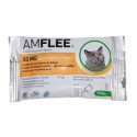 Krople przeciw pchłom i kleszczom AMFLEE dla kotów.50mg.