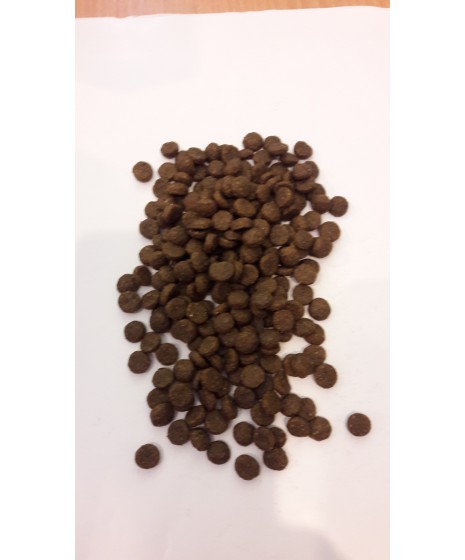 Josera CARISMO - karma sucha dla kota z niewydolnością nerek oraz dla kotów starszych.