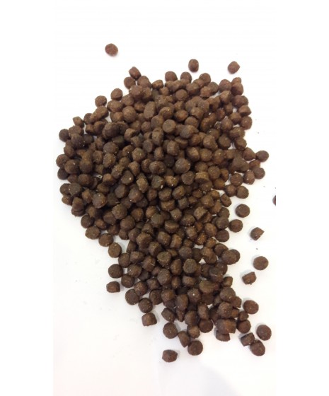 Brit Premium Kitten- karma sucha dla kociąt. Z  kurczakiem.