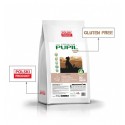 PUPIL GLUTEN FREE - karma sucha dla psa . Bogata w gęś z ryżem i aronią.