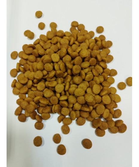 Royal Canin - URINARY CARE dieta dla dorosłych kotów wspomagająca ochronę dróg moczowych.