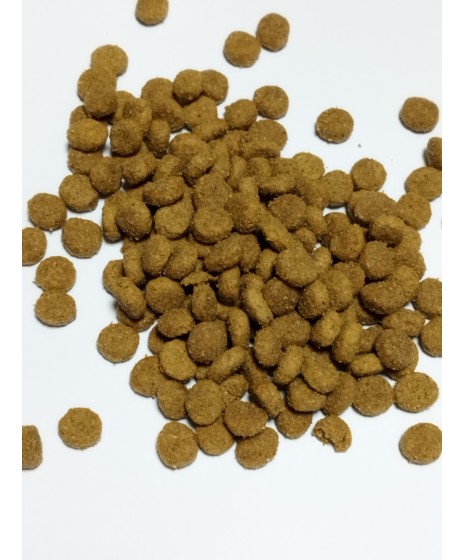 Purina CAT CHOW KACZKA -  karma dla dorosłych kotów z normalną aktywnością.