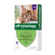 BAYER ADVANTAGE - krople przeciwpchelne dla kotów o masie ciała powyżej 4kg. Roztwór do nakrapiania.