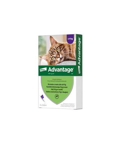 BAYER ADVANTAGE - krople przeciwpchelne dla kotów o masie ciała powyżej 4kg. Roztwór do nakrapiania.
