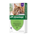 BAYER ADVANTAGE - krople przeciwpchelne dla kotów o masie ciała powyżej 4kg. Roztwór do nakrapiania. 0,8ml