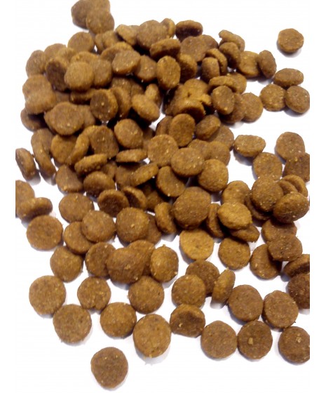 Royal Canin - DIGESTIVE CARE. Dla psów małych ras , bardzo wybrednych z wrażliwym przewodem pokarmowym.