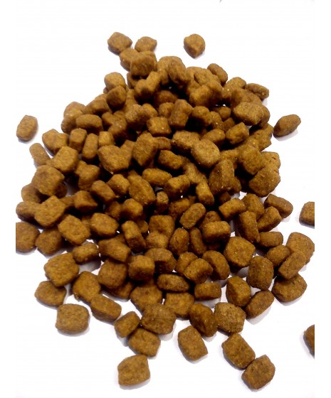 Royal Canin - YORKSHIRE TERRIER. Pełnoporcjowa karma dla psów dorosłych i starszych.