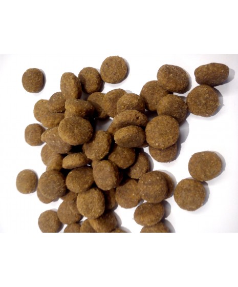 Royal Canin - MAXI ADULT. Dla psów dorosłych od 15 miesiąca do 5 roku życia.