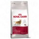 Royal Canin - FIT 32 dla kotów dorosłych o umiarkowanej aktywności, rzadko wychodzących na zewnątrz.