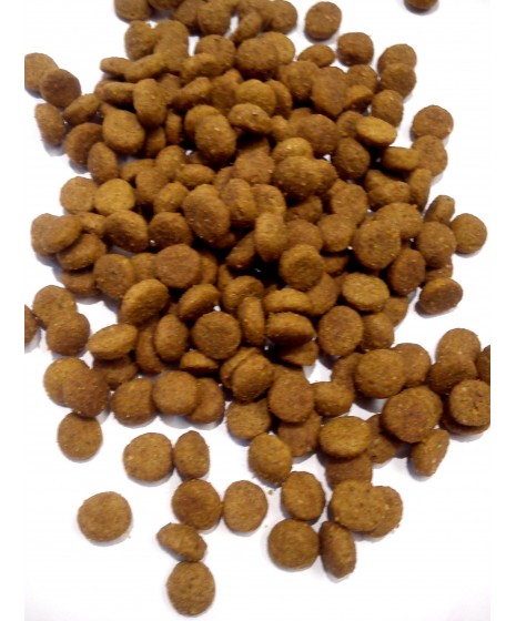 Royal Canin - STERILISED dla kotów wysterylizowanych. Zmniejsza ryzyko rozwoju nadwagi, sprzyja zachowaniu masy mięśniowej.