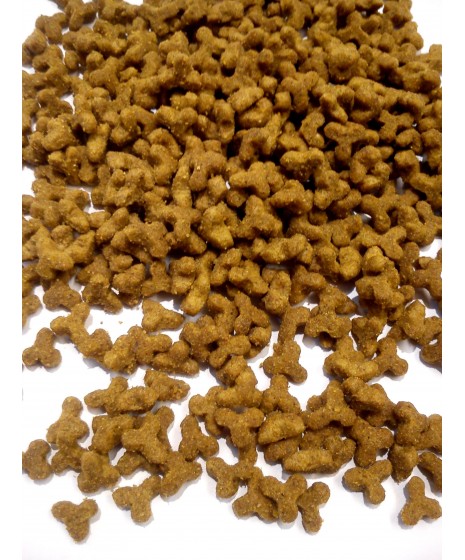 Purina CAT CHOW KITTEN -  karma dla kociąt do 12 miesiąca życia, kotek ciężarnych i karmiących.