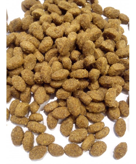 Purina CAT CHOW STERILIZED z INDYKIEM  -  karma dla dorosłych kotów z normalną aktywnością.