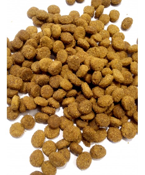 Purina CAT CHOW HAIRBALL CONTROL -  karma dla dorosłych kotów z normalną aktywnością.