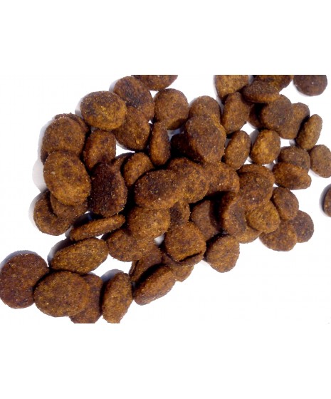 Josera FESTIVAL - karma dla dorosłych psów z łososiem, kaczką, ryżem i pysznym sosem.