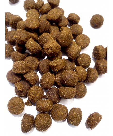 Arion  LAMB&RICE - karma dla dorosłych psów na bazie jagnięicny. Przeciwalergiczna. Bezglutenowa.