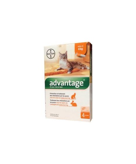 BAYER ADVANTAGE - krople przeciwpchelne dla kotów o masie ciała do 4kg. Roztwór do nakrapiania.
