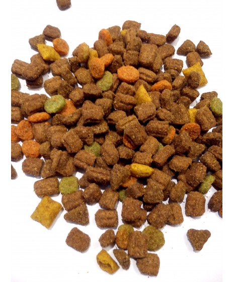 Whiskas ADULT TUŃCZYK - karma dla dorosłych kotów. Zawiera pyszne nadziewane poduszeczki .