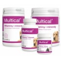 Witaminy MULTICAL Dolfos -zawiera witaminy, aminokwasy, mikro- i makroelementy.140g