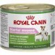 Puszka dla psa ROYAL CANIN STARTER 195g - dla szczeniąt i suk w okresie ciąży i karmiących.