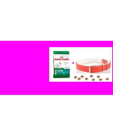 Royal Canin - MINI ADULT karma dla dorosłych psów od 10 miesiąca do 8 roku życia. Dla dobrej kondycji piesków.